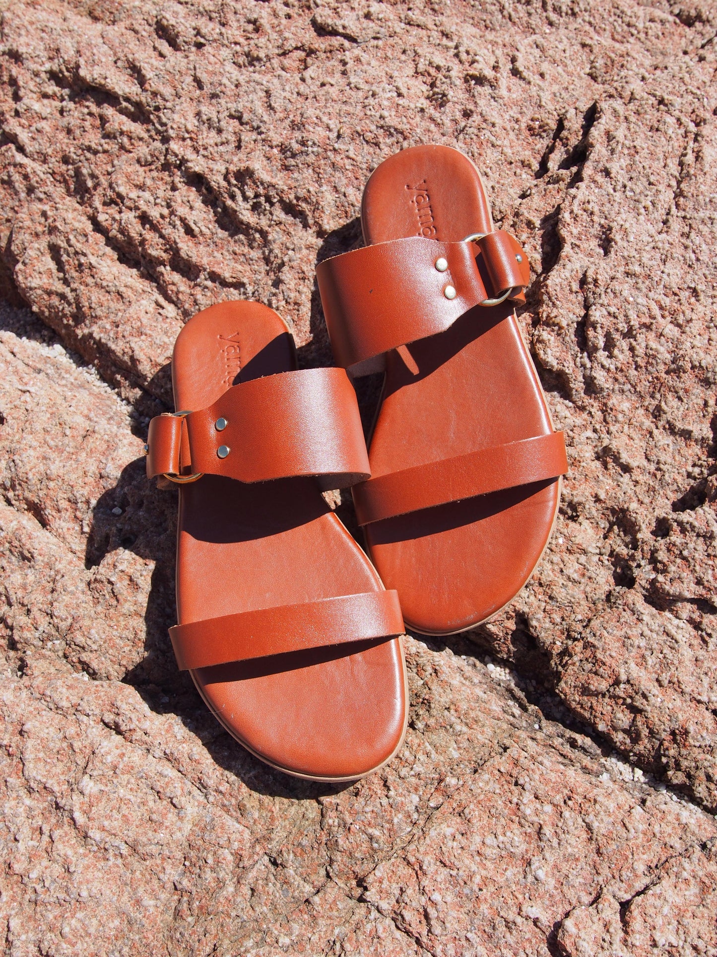 ANOGIA camel