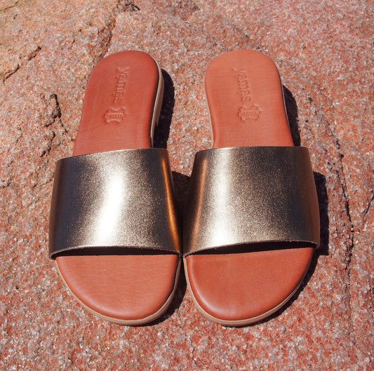 APTERA bronze