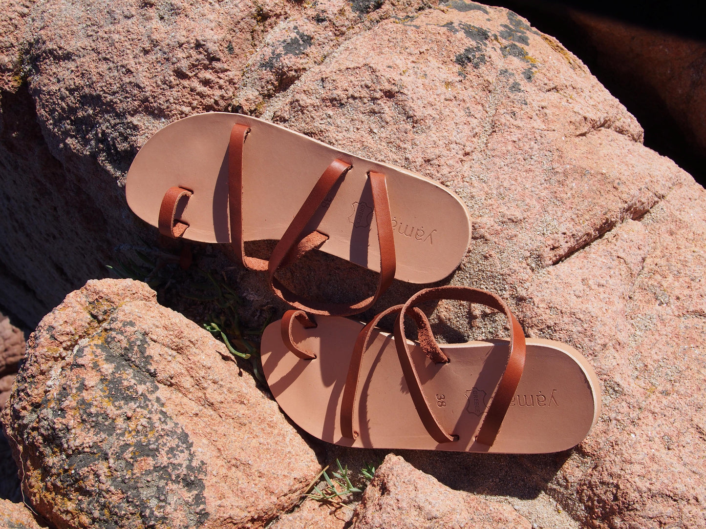 LISSOS camel