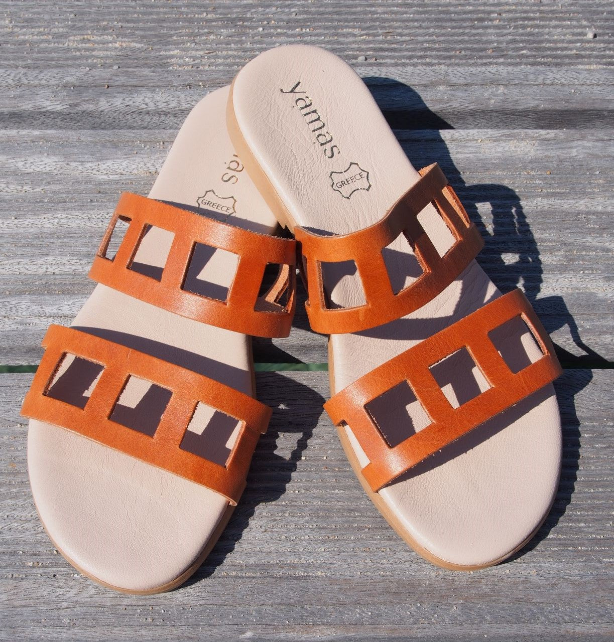 THEODORA camel