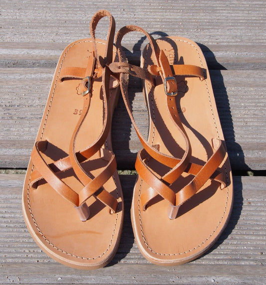GALIA camel